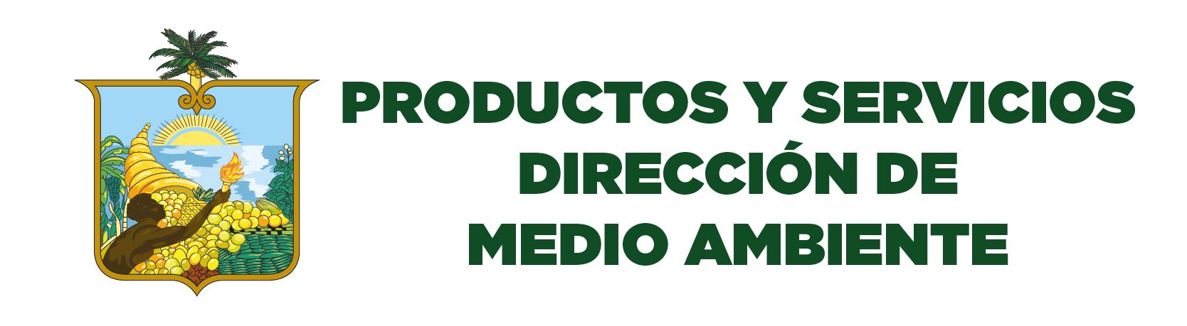 Servicio Dir Ambiente