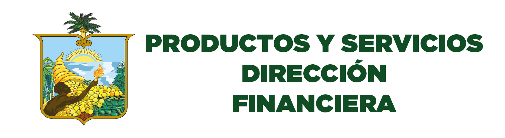 Servicio Dir Financiera