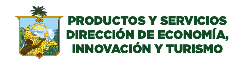 Servicios Dir Turismo