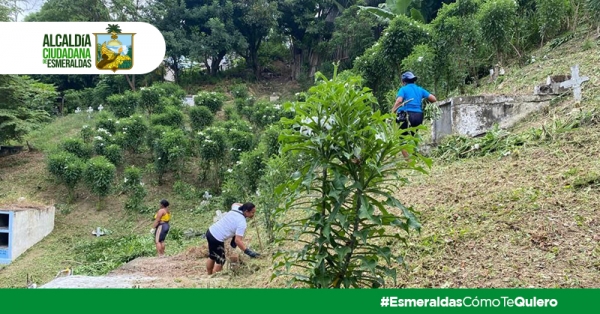 Alcald&iacute;a realiza mantenimiento a Cementerio General