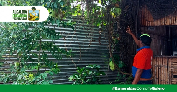 Alcald&iacute;a promueve proyecto de aseguramiento del suelo y agroturismo